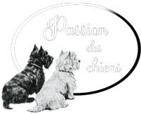 logo passion des chiens